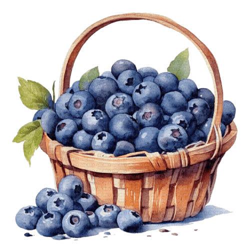 blueberry basket Bb2 - PNG gratuit