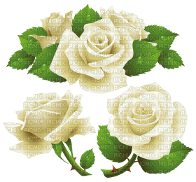 Kaz_Creations Deco Flowers Roses Flower - ücretsiz png