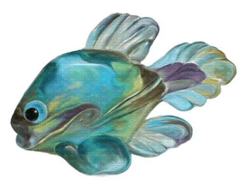 Fische - Free PNG