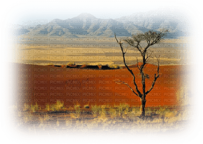 Africa landscape bp - ilmainen png