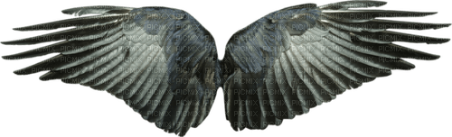 kikkapink black gothic dark angel wings - ilmainen png