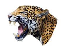 Kaz_Creations Leopard - kostenlos png