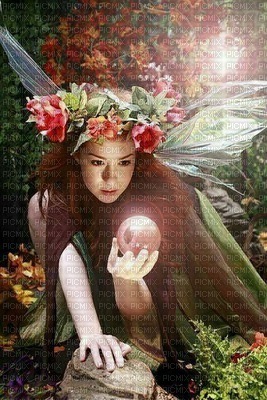 fairy fantasy laurachan - nemokama png