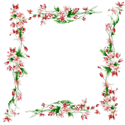 cadre fleur flower frame - бесплатно png