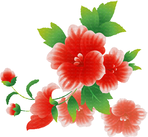 Corner. Flower. Red. Leila - Бесплатни анимирани ГИФ