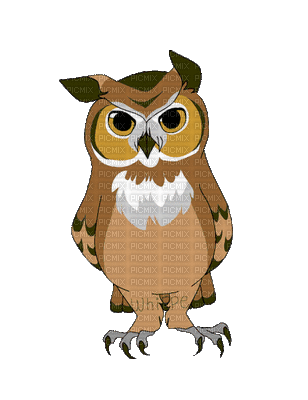 owl bp - Bezmaksas animēts GIF