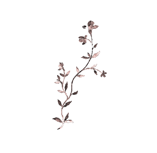 flores  rosas gif dubravka4 - Ilmainen animoitu GIF