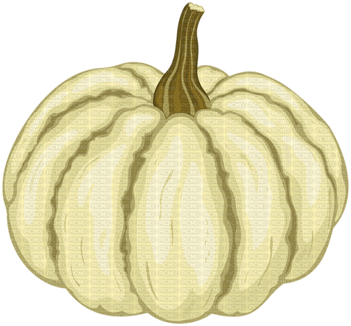Pumpkin-RM - darmowe png