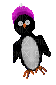 Pingouin - GIF animé gratuit