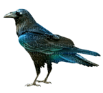 oiseaux ( - Free PNG