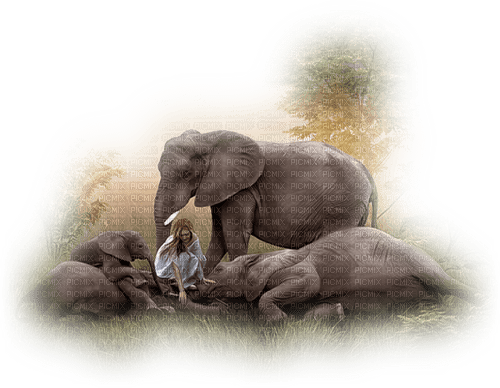 dolceluna fantasy woman elephant elephants - PNG gratuit