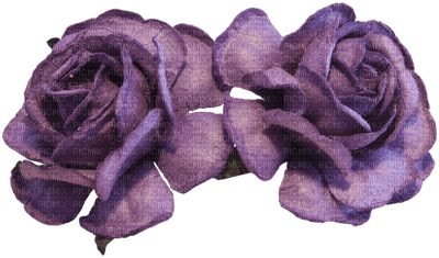 image encre fleurs roses mariage coin edited by me - PNG gratuit