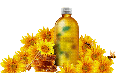 honey , yellow flowers sunshine3 - png gratuito