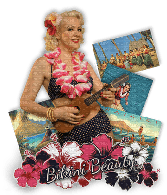 hawaiian woman bp - gratis png