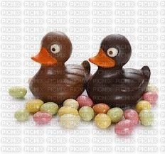 Canards au chocolat - PNG gratuit