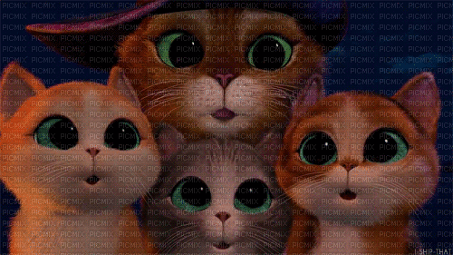 Cats animated-Abuepita - Bezmaksas animēts GIF
