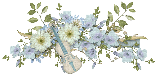 Violin Flowers - Animovaný GIF zadarmo