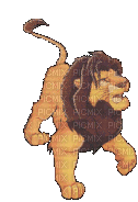 lion - GIF animado grátis