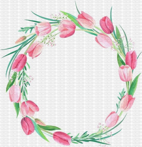 Frame tulipes - Free PNG