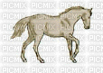 cheval - Darmowy animowany GIF