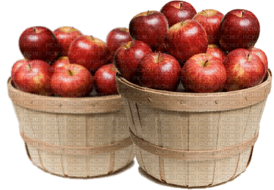 Kaz_Creations Fruit Apples Apple - kostenlos png