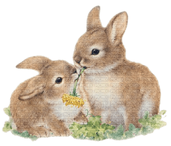 Ostern paques easter - bezmaksas png