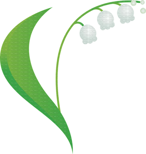 lily of the valley Bb2 - kostenlos png
