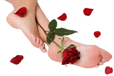 stopy i róża - 免费PNG