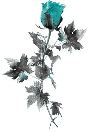 soave deco flowers rose branch black white teal - 免费PNG