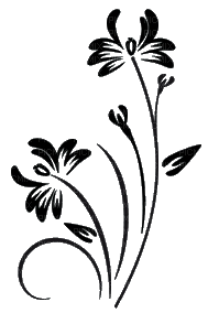 fleur noir.Cheyenne63 - PNG gratuit