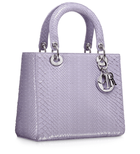 Kaz_Creations Dior-Bag - PNG gratuit