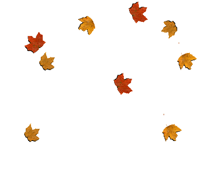 leaves fall autumn feuille leaf - Gratis animerad GIF