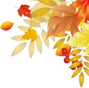 soave deco autumn leaves corner orange yellow red - png gratuito