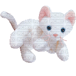Beanie Cat 6 - Nemokamas animacinis gif
