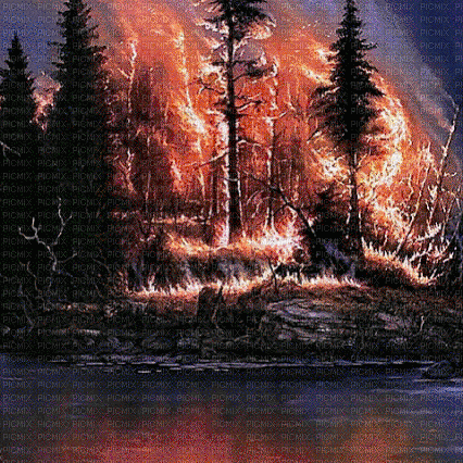 Rena Fire Background Hintergrund water - Δωρεάν κινούμενο GIF