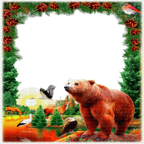 bär bear milla1959 - Zdarma animovaný GIF