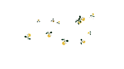цветочки - GIF animado grátis