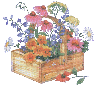caisse fleur - Animovaný GIF zadarmo