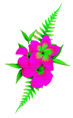 Flowers.Pink.Green - PNG gratuit