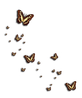 Butterflies Deco - ücretsiz png