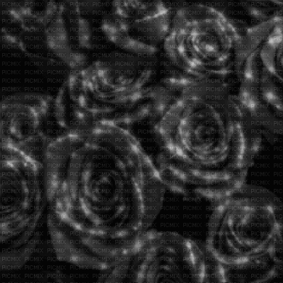 Black Roses Background - GIF animé gratuit