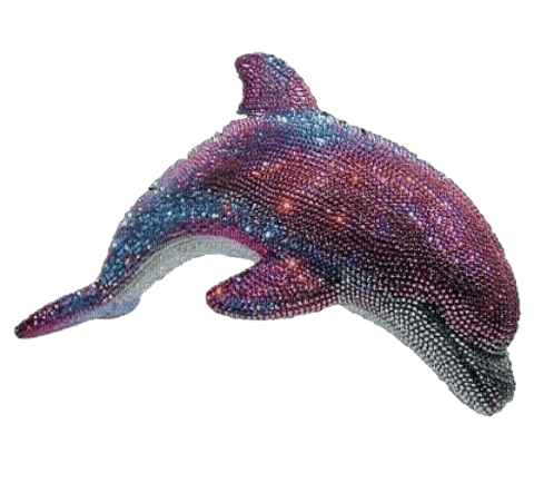 bedazzled dolphin - png grátis