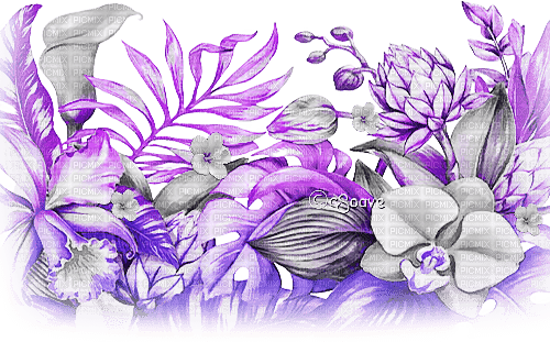 soave  deco border summer tropical  flowers - Free PNG