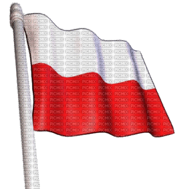 flaga polska - GIF animé gratuit