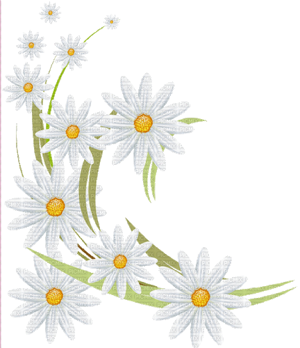 white milla1959 - Nemokamas animacinis gif