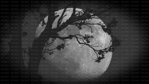 готика луна - Безплатен анимиран GIF