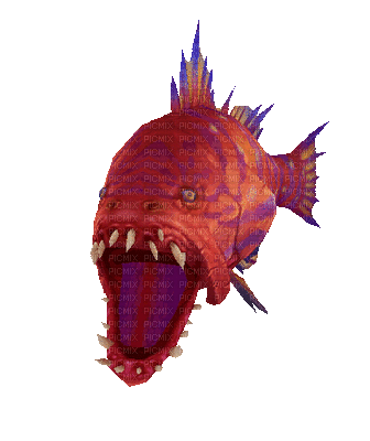 fish bp - Безплатен анимиран GIF