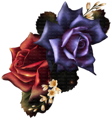 roses gothic - Free PNG