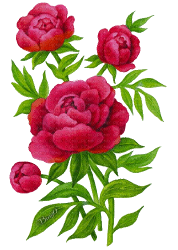 Y.A.M._Spring Flowers Decor - 無料のアニメーション GIF