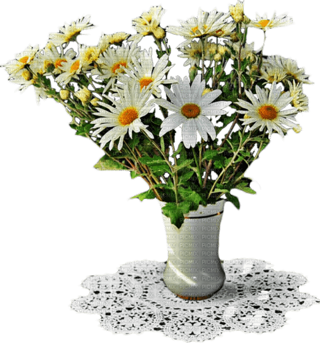 blommor-vas--flowers vase - Free PNG